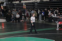 IMG_2321.JPG