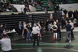 IMG_2332.JPG