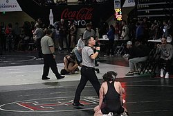 IMG_2337.JPG