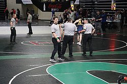 IMG_2351.JPG
