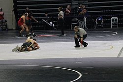 IMG_2430.JPG