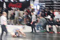 IMG_2479.JPG