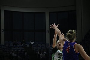 IMG_3529.JPG