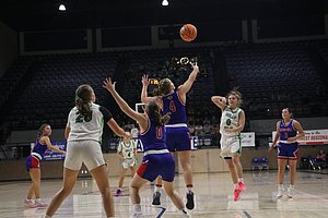 IMG_3537.JPG
