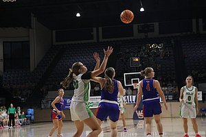 IMG_3539.JPG