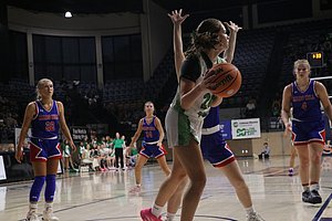 IMG_3541.JPG
