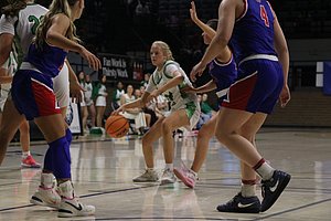 IMG_3567.JPG