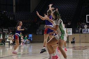 IMG_3573.JPG