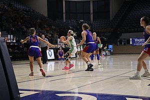 IMG_3585.JPG